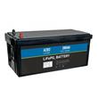 Avacom A2D2 baterie LiFePO4 12,8V 280Ah M8