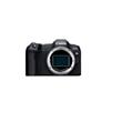 Canon EOS R8 + RF24-105 F4-7.1 IS STM EU26 - SELEKCE SIP