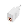 DIGITUS USB nabíječka 2x USB-A, 15,5W
