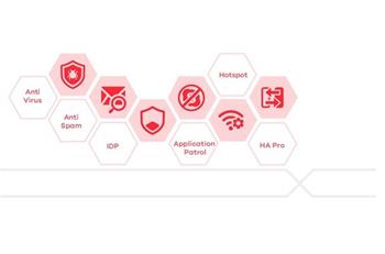 ZyXEL LIC-BUN for USG20(W)-VPN/USGFLEX50, 2YR Content Filter/SecuReporter Premium/SPS License